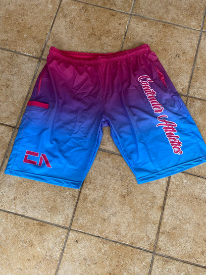 PS 4 Way Stretch Shorts Ombre Collection