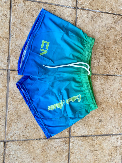 Ladies PS 4 Way Stretch Shorts Ombre Collection